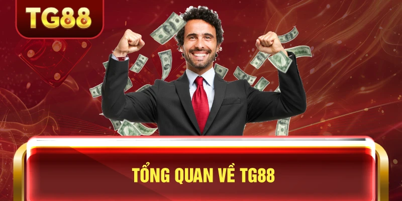 Tổng Quan Về TG88